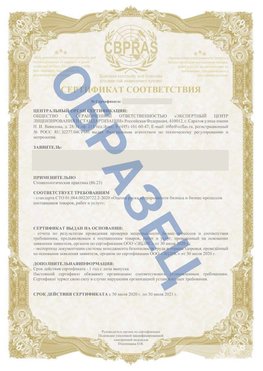 Образец Сертификат СТО 01.064.00220722.2-2020 Очер Сертификат СТО 01.064.00220722.2-2020 